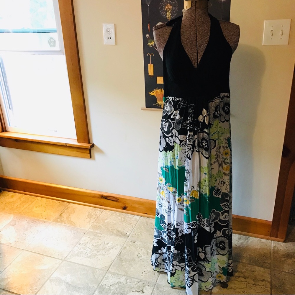Wonderland Floral Dress. EUC